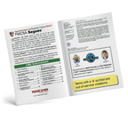 CMV Enforcement Segues 2024