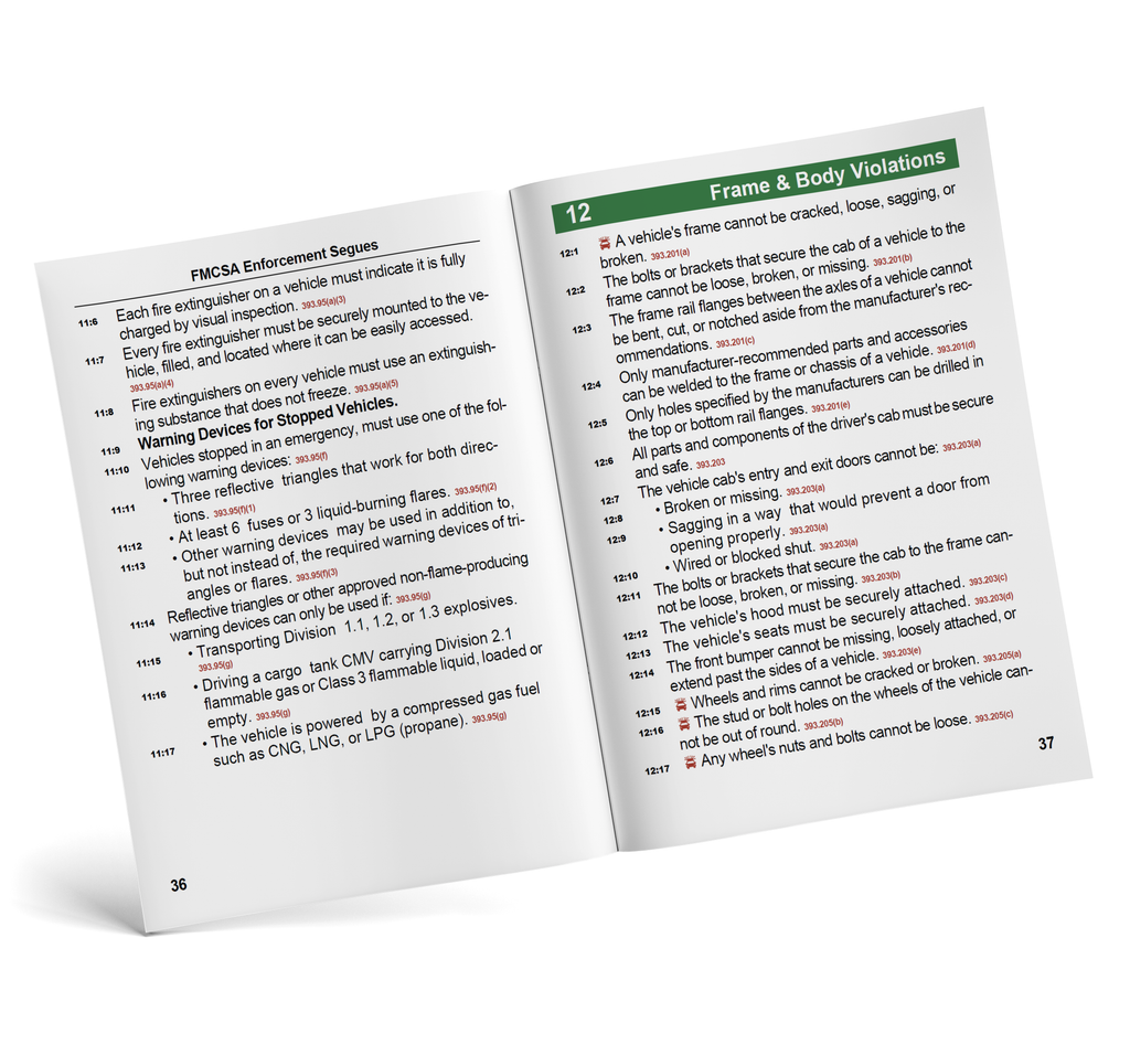 CMV Enforcement Segues 2024