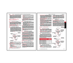 Two-page FMCSR section on vehicle noise emission standards detailing stationary sound measurement procedures, test conditions, and microphone placement diagrams, along with correction factors and site requirements for accurate noise level testing.